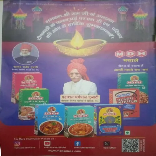 Vanita (November 2024)damage