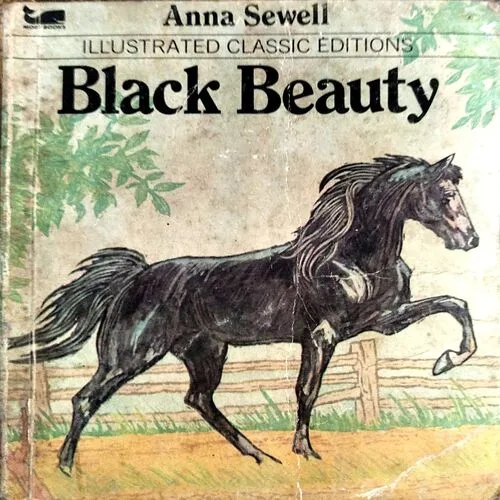 BLACK BEAUTY (ANNA SEWELL) (pages 232)