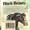BLACK BEAUTY (ANNA SEWELL) (pages 232)
