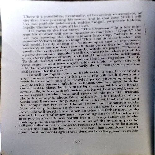 The Namesake (pages 290) (By Jhumpa Lahiri)