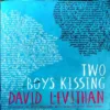 Two Boys Kissing (pages 244) (by David Levithan)