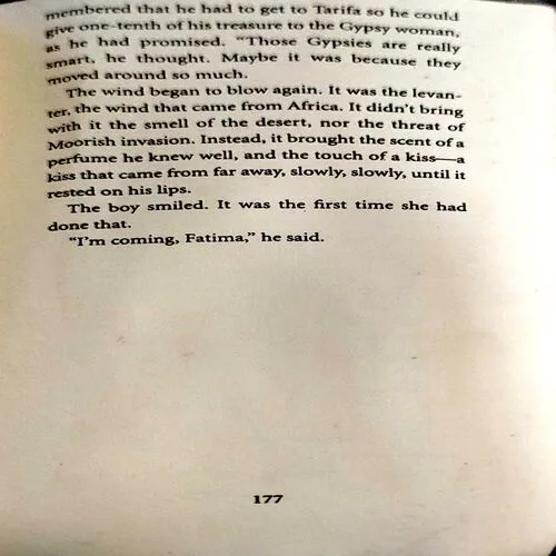 The Alchemist (pages 178) (Paulo Coelho)