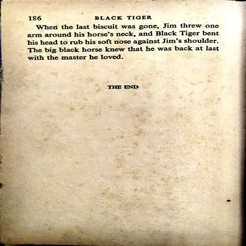 Black Tiger (pages 186) (By Thomas C Hinkle)