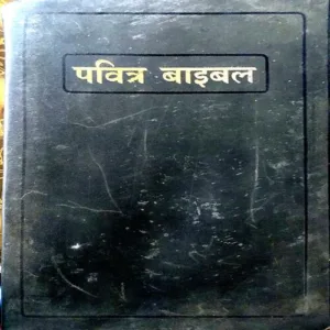 Pavitra Bible (pages 262)