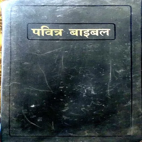 Document 38_141 Pavitra Bible (pages 262)