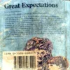 Document 39_48 Great Expectations (pages 238)