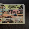 Kalahaari Ka Aatank ( Back Cover Missing )