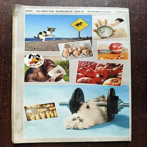 Balhans ( January 2013 )