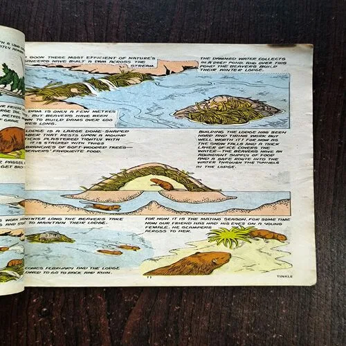 TINKLE No 114 ( Back Cover Missing )