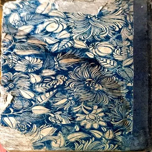 The Arctic patrol mestery (pages 160)