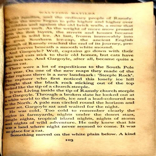 The Town That Went south (pages 104)