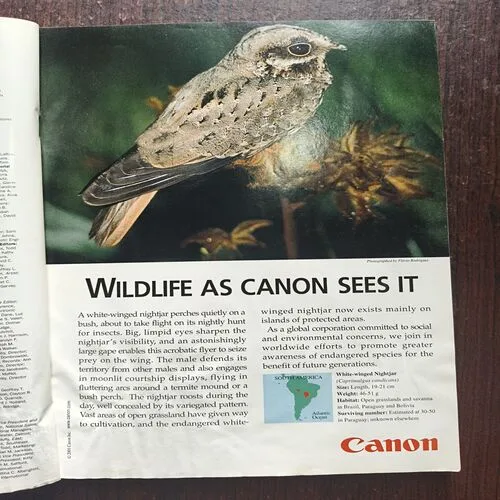 Document 8_50 National Geographic ( March 2001 )