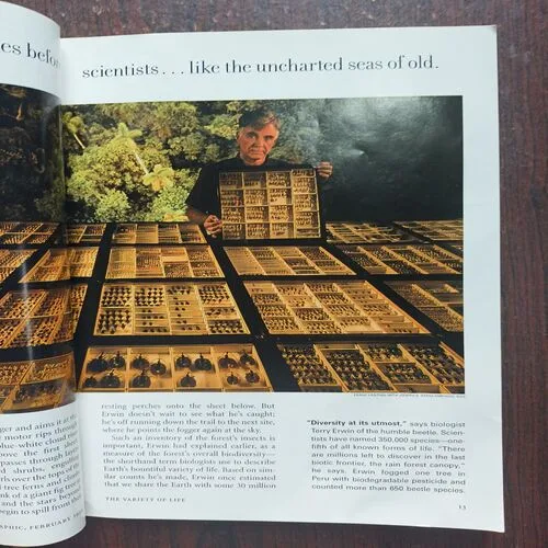 National Geographic ( February 1999 )