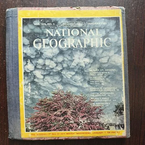 National Geographic ( January 1981 )