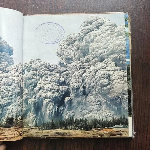 National Geographic ( January 1981 )