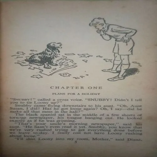 The Rubadub Mystery (By =Enid Blyton ) ,(Total pages=158 )damage