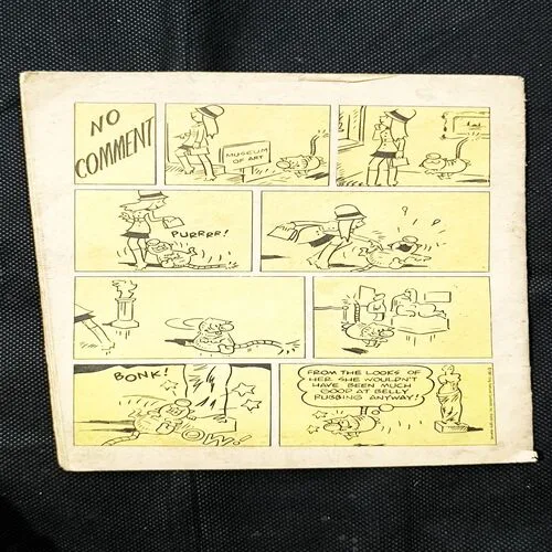 THE HANGING SABRE ( Cover Less )