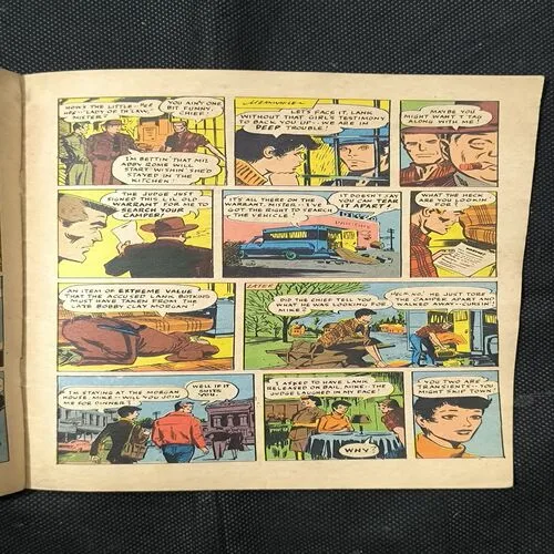 THE HANGING SABRE ( Cover Less )