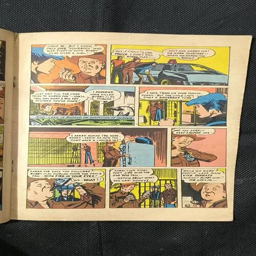 THE HANGING SABRE ( Cover Less )