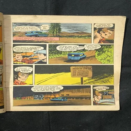 THE HANGING SABRE ( Cover Less )