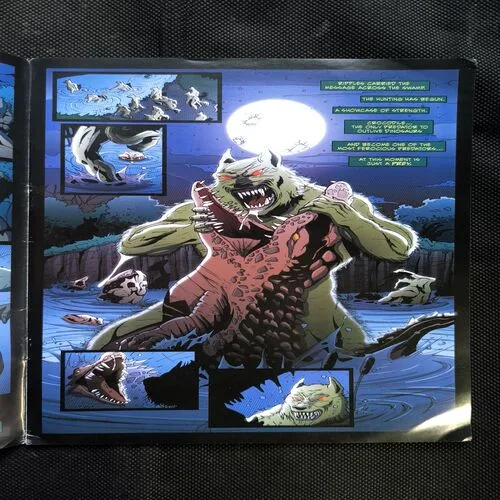 Document_24 THE WRECKAGE