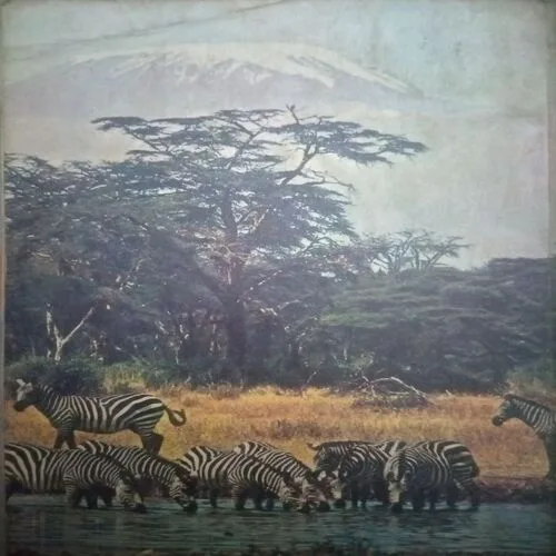 Learner's Dictionary ,Total pages=(156 )