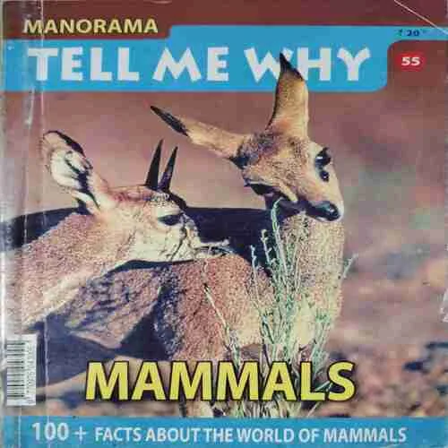 Tell me why ( April 2011 ) ( cut on Last page )