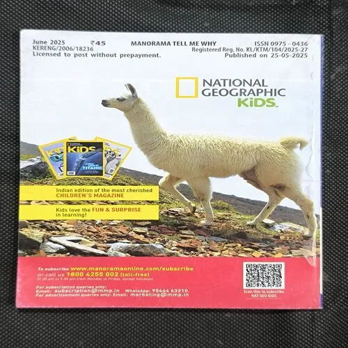 Tell Me Why ( June 2025 )