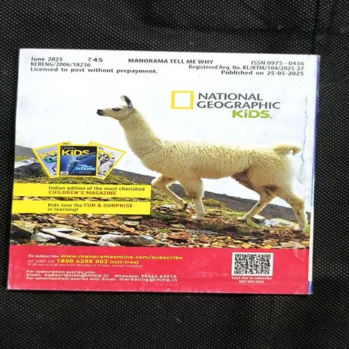 Tell Me Why ( June 2025 )