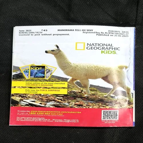 Tell Me Why ( June 2025 )