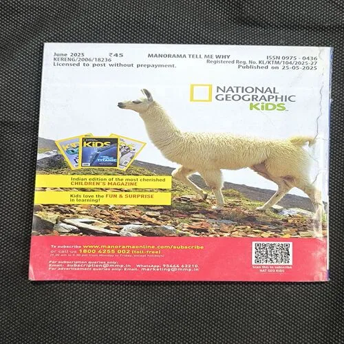 Tell Me Why ( June 2025 )