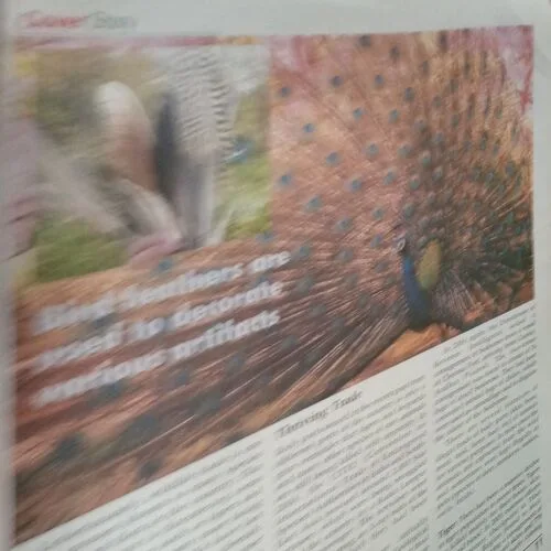 Science Reporter (November 2006)damage