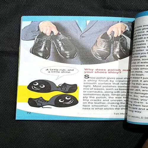 Tell Me Why ( June 2025 )