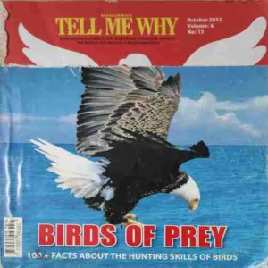 Tell me why ( October 2012 ) cut on last cover