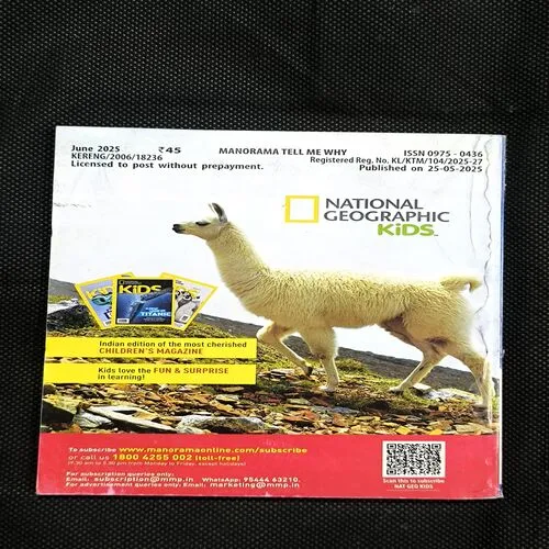 Tell Me Why ( June 2025 )