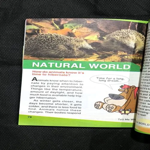 Tell Me Why ( June 2025 )