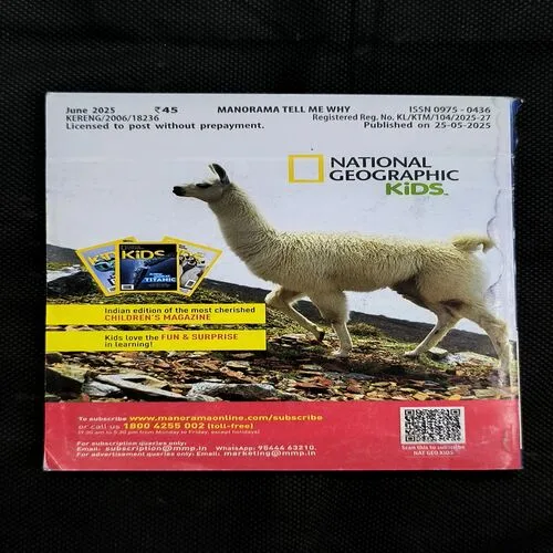 Tell Me Why ( June 2025 )