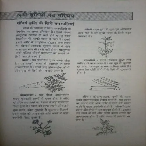 Beauty Book,By = (shahnaz husain ) ,Total pages=(173 )