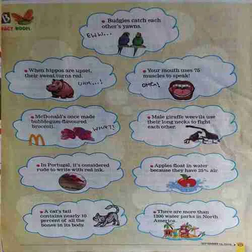 Young Bhaskar ( 3rd September 2024 )