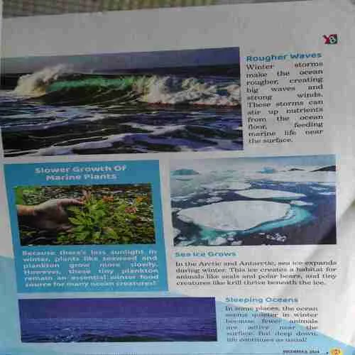 Young Bhaskar ( 6th December 2024 )