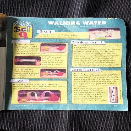 Champak ( 1st October , 2023 ) ( All Pages Upper Side Small Corner Cut But Not Story Impact )