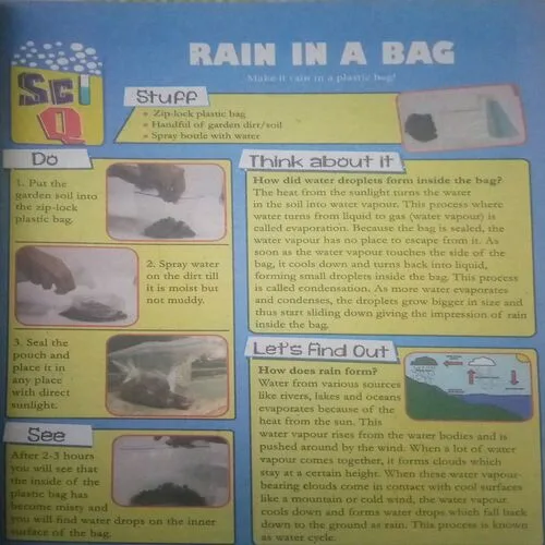 Champak ( I ) (July 2022)