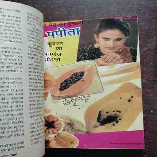 Mehakta Aanchal ( April 2001 )