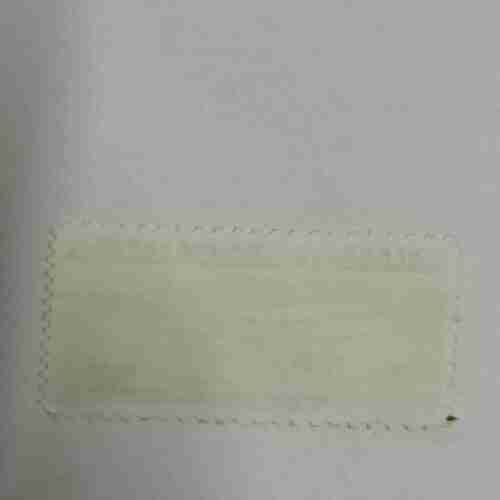 CHAUTAUQUA 1874-1974 US 10C,RURAL AMERICA