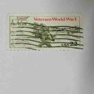 Document 14_141 USA 22C, VETERANS WOELD WAR 1