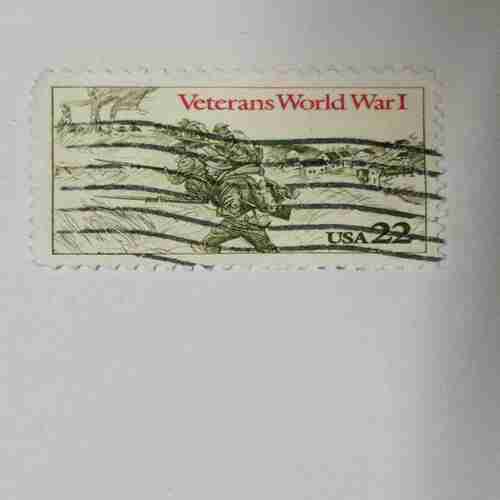 Document 14_141 USA 22C, VETERANS WOELD WAR 1