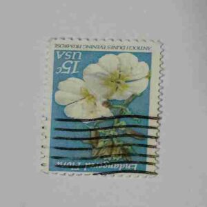 Document 14_21 UNITED STATES AMERICA15C STAMP