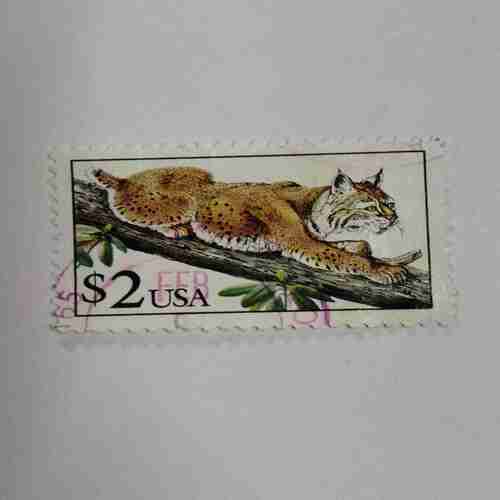 Document 14_233 USA 2S STAMP