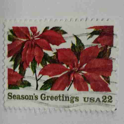 Document 14_269 SEASON'S GREETING USA 22