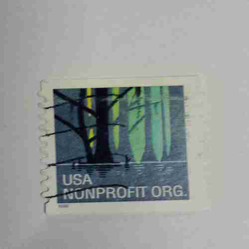 USA NONPROFIT ORG Stamp